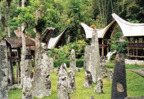Tana Toraja 20 (menhirs ter ere van overledenen)