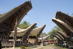 Tana Toraja 26 (traditioneel dorp)