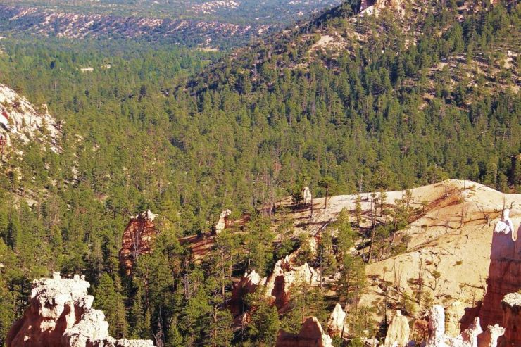 Bryce Canyon NP 50