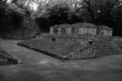 Ruinas de Copan (121)