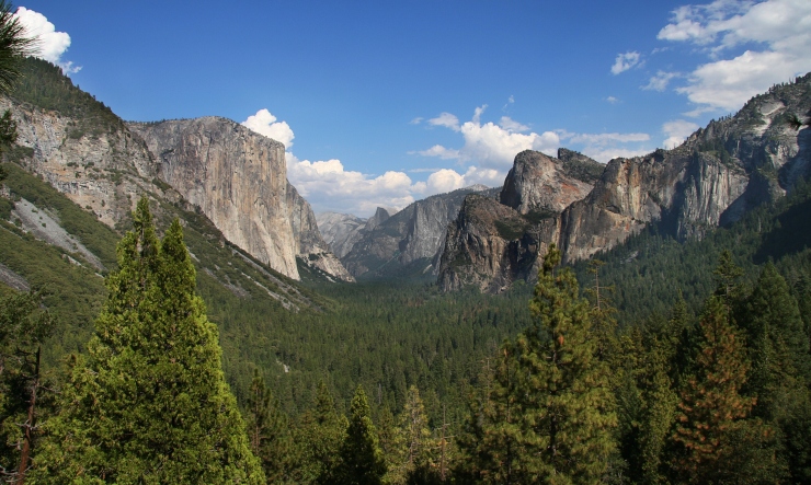 Yosemite NP (108)