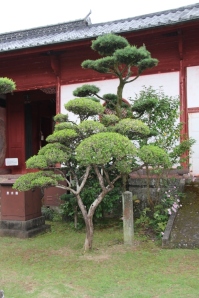 kofuku-ji-temple-9