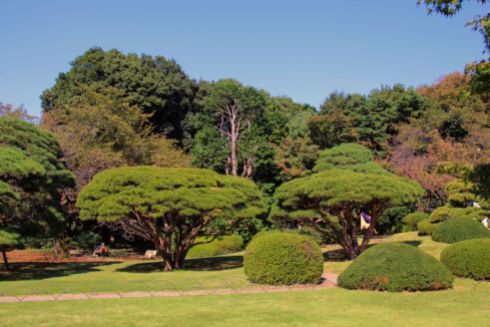 shinjuku-gyoen-garden-93