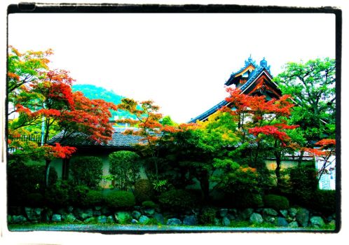 toji-in-temple-3