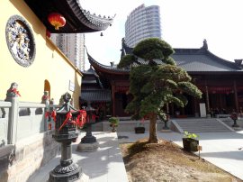 Jade Buddha Temple (11)